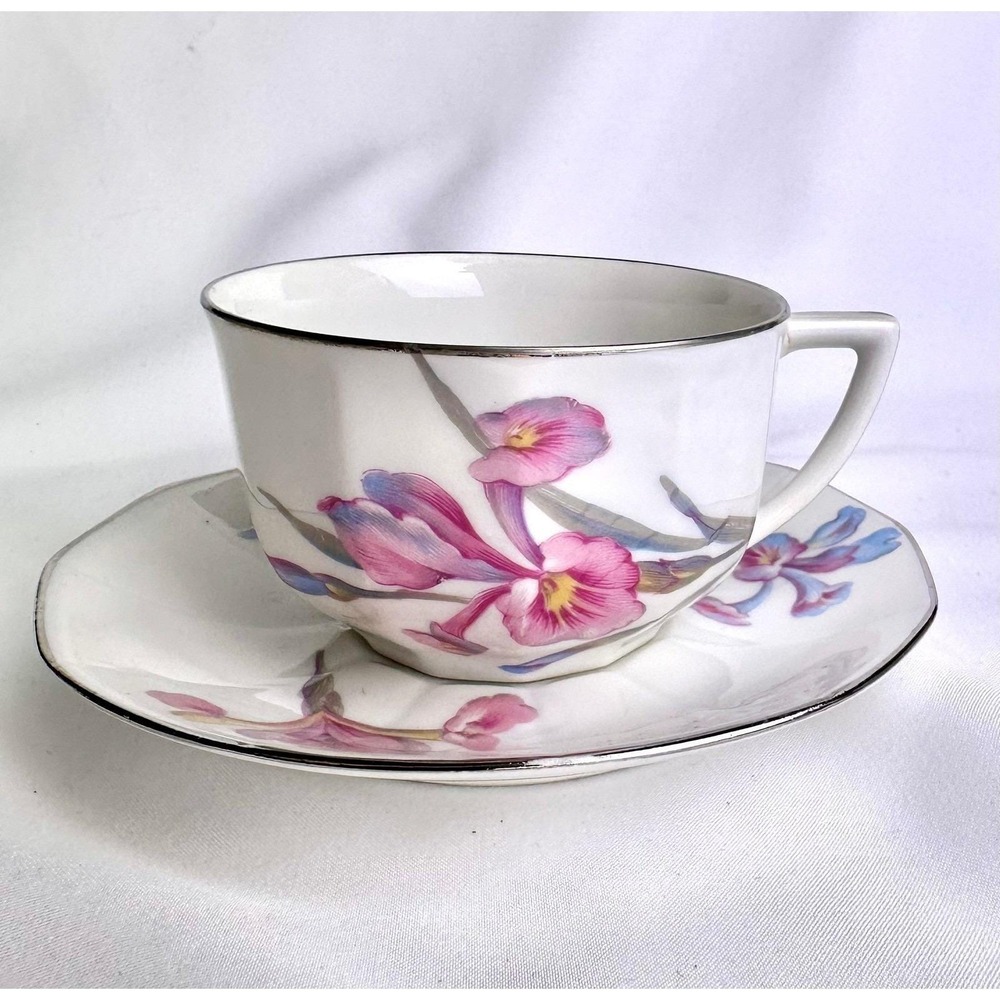 Limoges Chalais-Nadaud Pink Iris Teacup & Saucer with Silver-Colored Trim